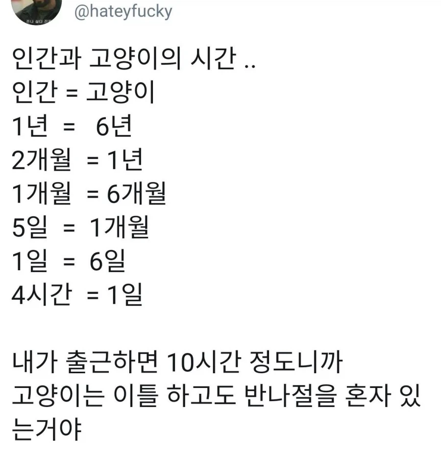 인간과 고양이의 시간은 같지않다._1.webp