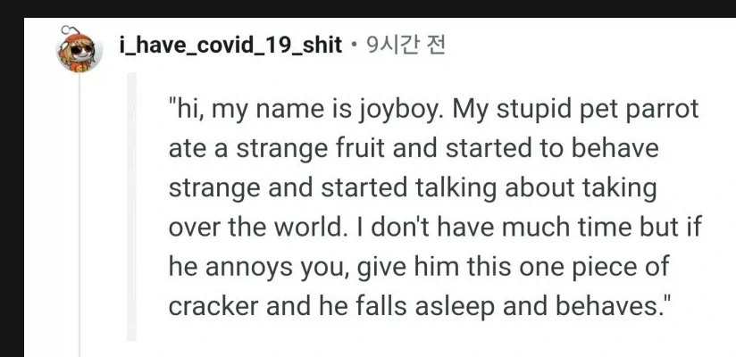 원피스 그 앵무새가 맞다면 원피스의 정체가 진짜 이런거란 말이냐???_2.webp