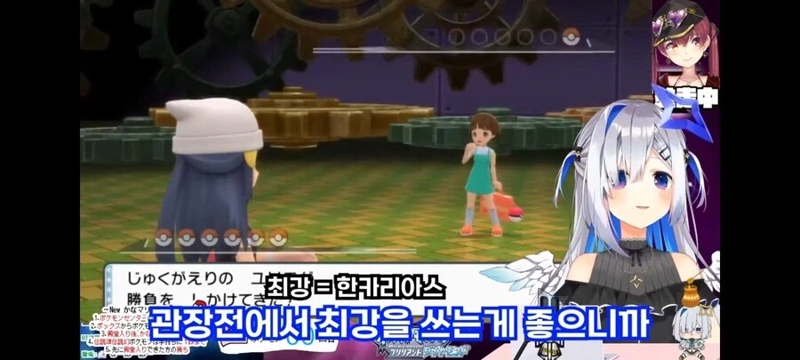 일본에서 파치리스에 대한 인식.jyp_1.webp