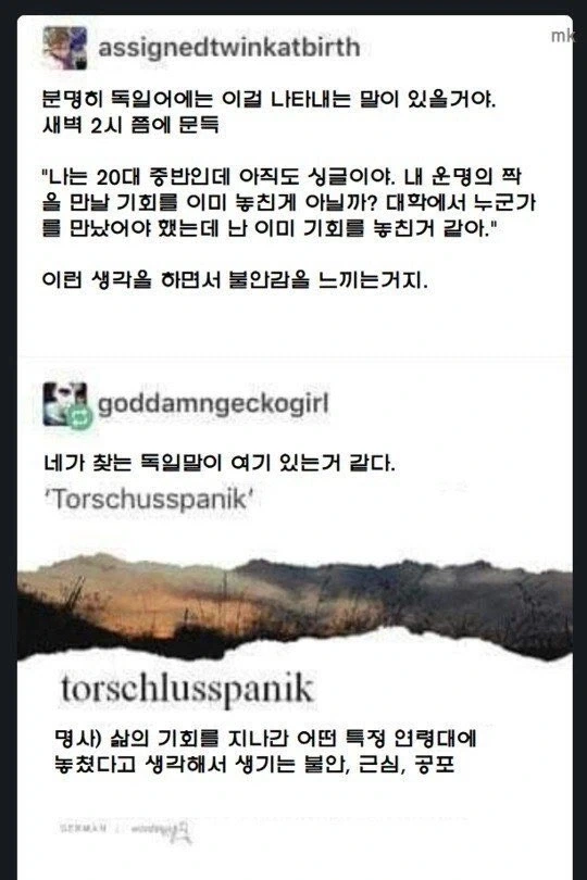 독일인의 특징_1.webp