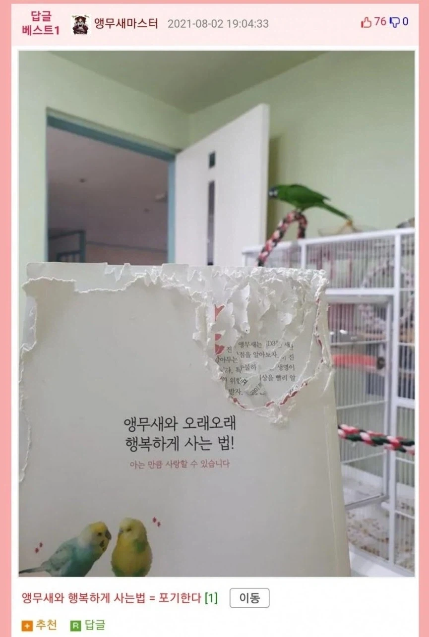 앵무새랑 행복하게 사는법_1.webp