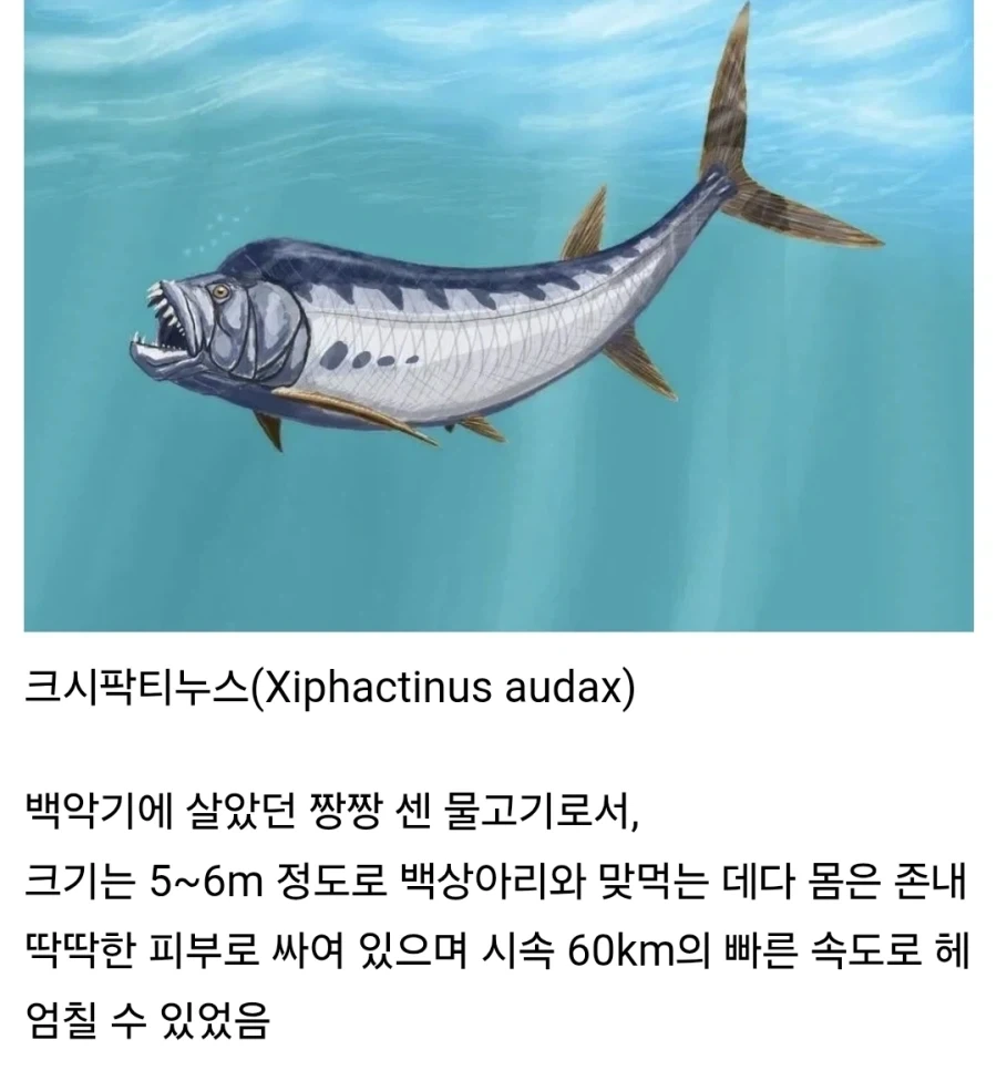 백악기 바다 비운의 생선_1.webp