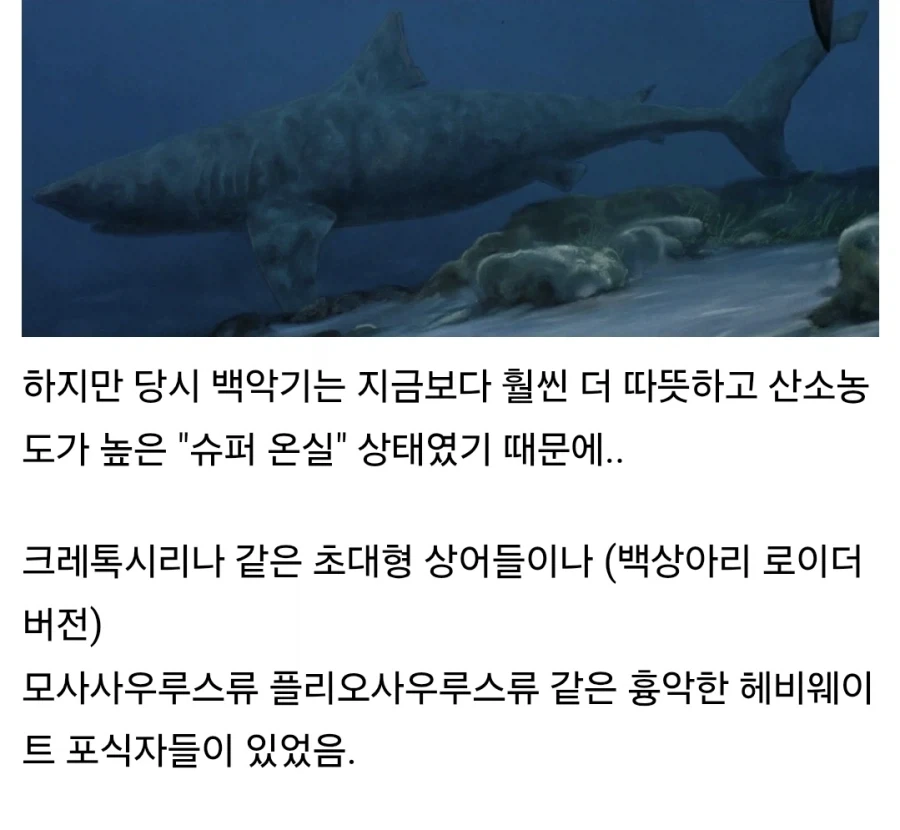 백악기 바다 비운의 생선_4.webp