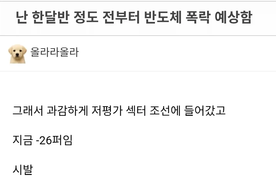 주식)난 한달반 정도 전부터 반도체 폭락 예상함_1.webp