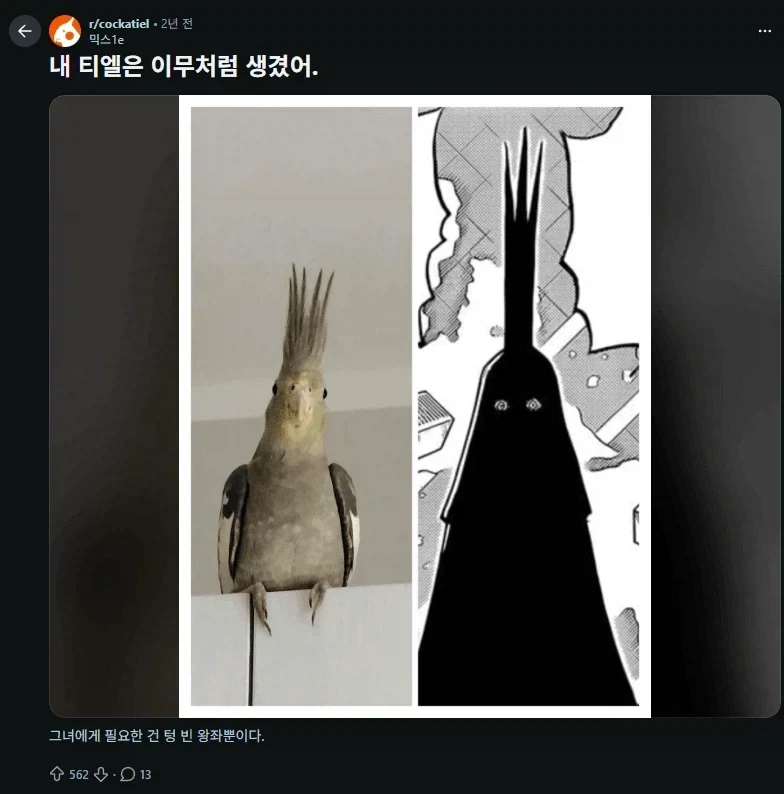 원피스 이무 앵무새론 정리_1.webp