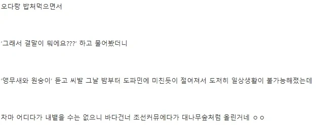 원피스 이무 앵무새론 정리_23.webp