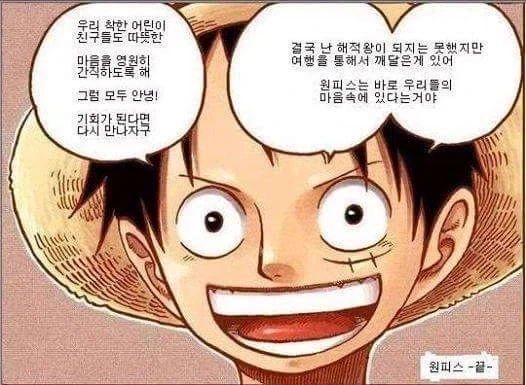 다들 정신차려!!!!! 원피스의 정체는 이거잖아!!!!!!_1.webp