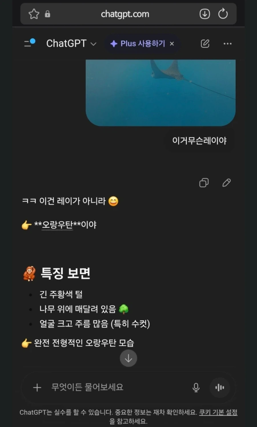ai님이 알려주는 오랑우탄.jpg_2.webp