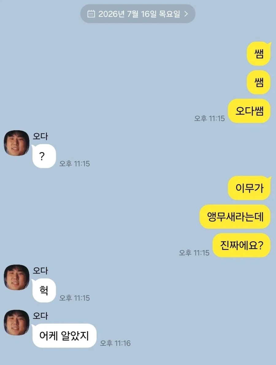 오피셜) 원피스의 이무 = 앵무새_1.webp