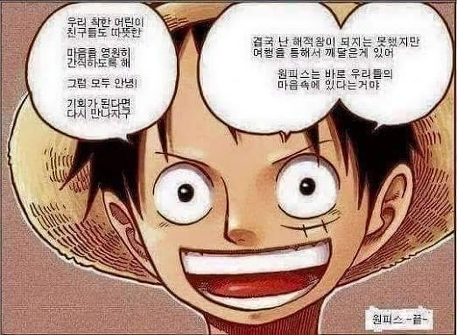 원피스의 정체는 이거 아니었어?_1.webp