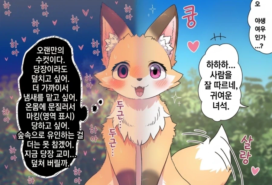 사람을 좋아하는 여우짤_1.webp