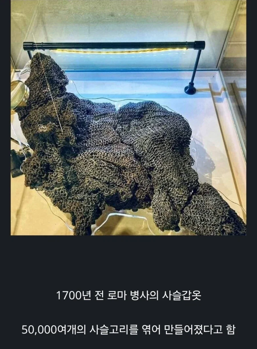 2000여년 전 고대 로마의 유물들.JPG_12.webp