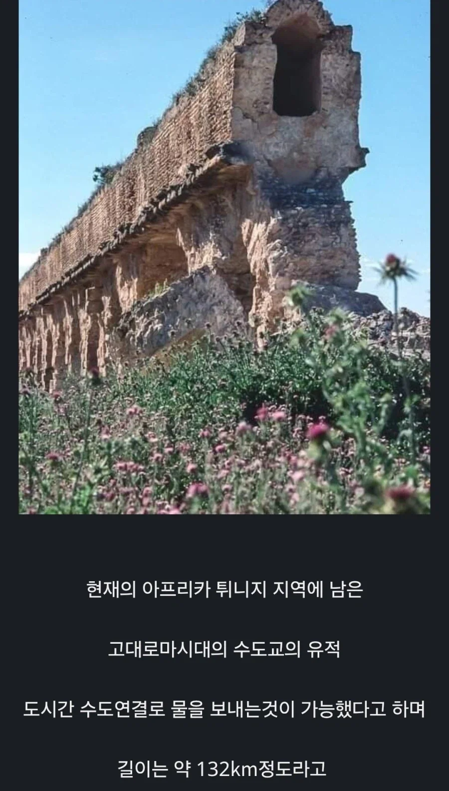 2000여년 전 고대 로마의 유물들.JPG_21.webp