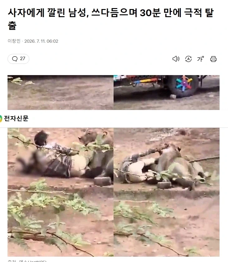사자에게 물려가도 잘 쓰다듬으면 살 수도 있다_1.webp