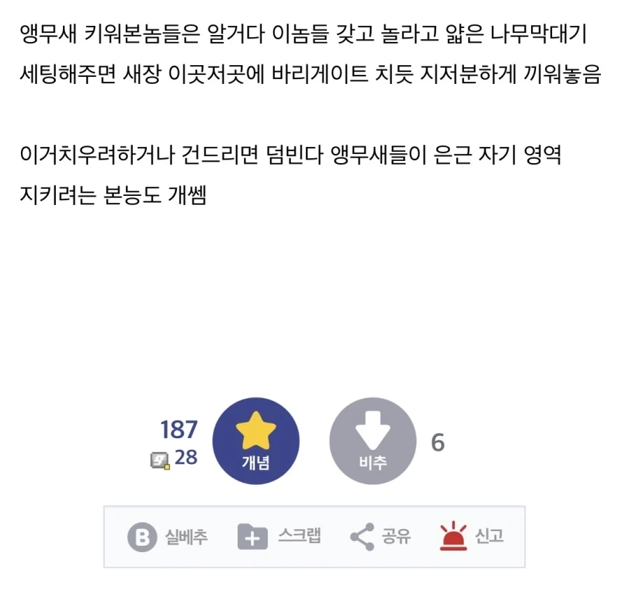 원피스 이무 앵무새설 특징_5.webp