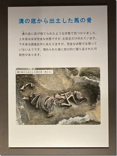사실 일본사에서도 온갖 기병대는 있었다_1.webp