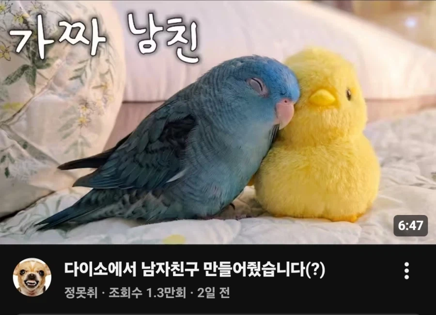 내 남친이라능_1.webp