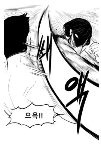 manga_2552208_011.webp