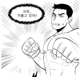 manga_2552208_013.webp