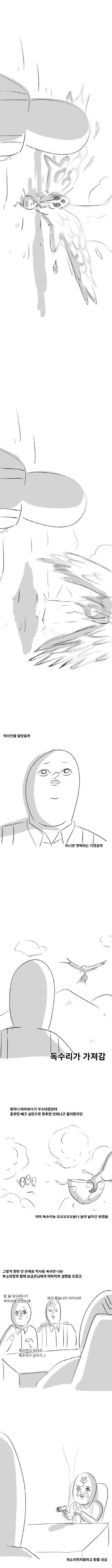 미필은노하이) 독수리가 하이바 갖고 튀는.manhwa_3.jpg