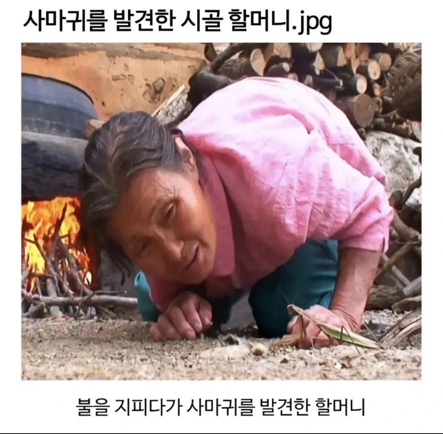 사마귀를 발견한 시골할머니_1.webp