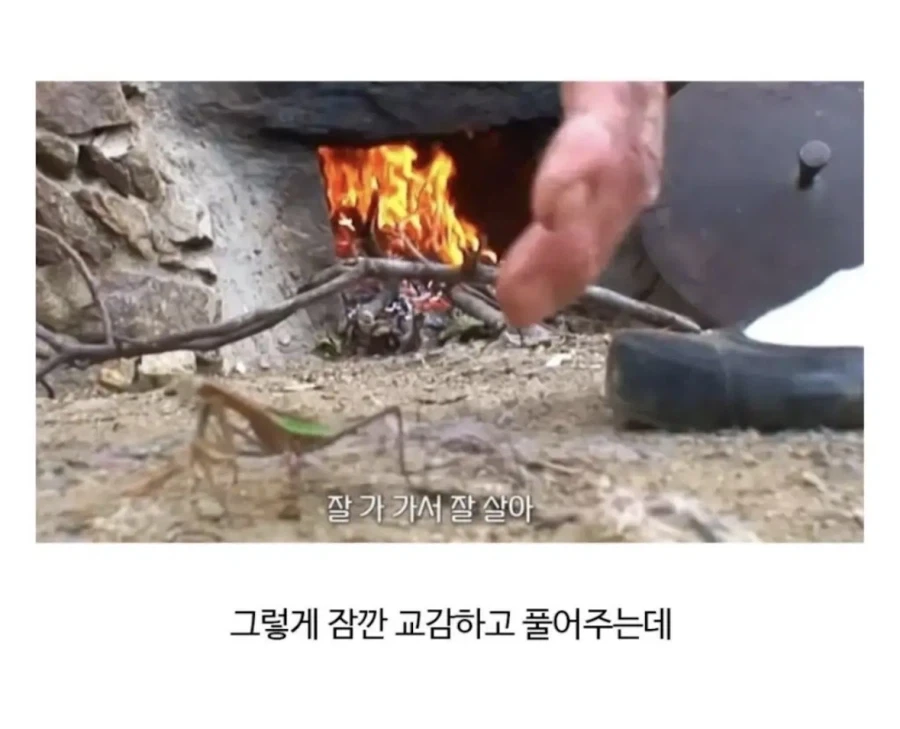 사마귀를 발견한 시골할머니_3.webp