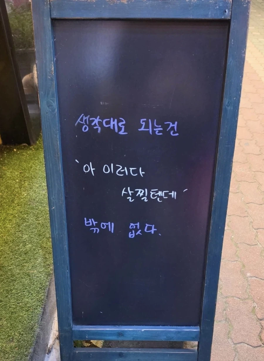 인생을 살면서 유일하게 생각되로 되는 것_1.webp