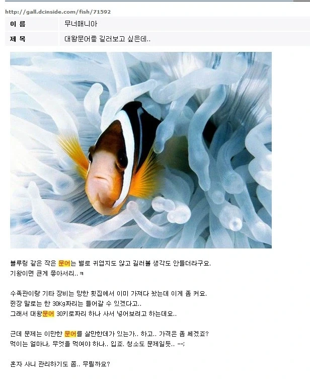 [클래식] 문어가 죽었슴다.. --;_1.webp