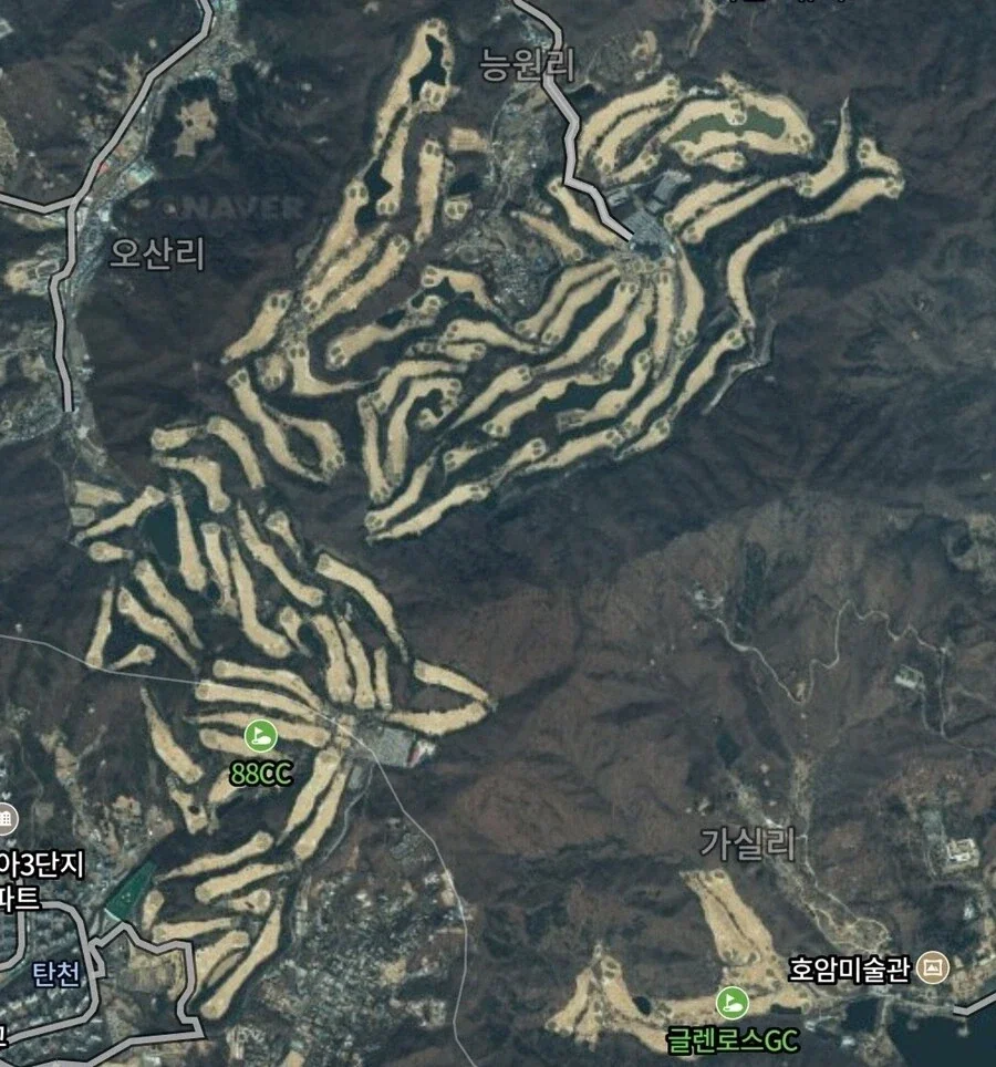 위성지도로 보면 징그러운 것.jpg_1.webp