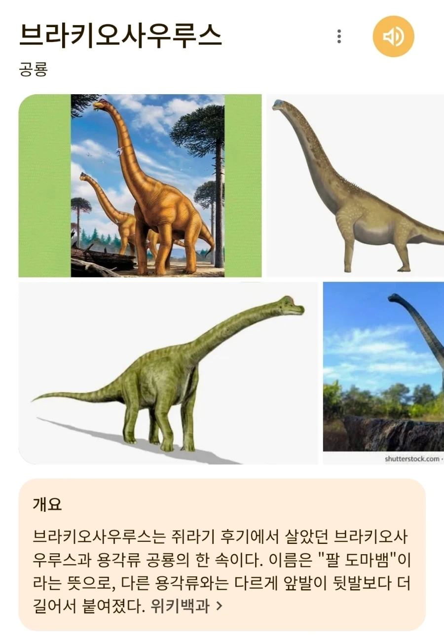 님드랔ㅋㅋㅋ 전기를 아끼는 공룡이 뭔지 아세옄ㅋㅋㅋㅋ_2.webp