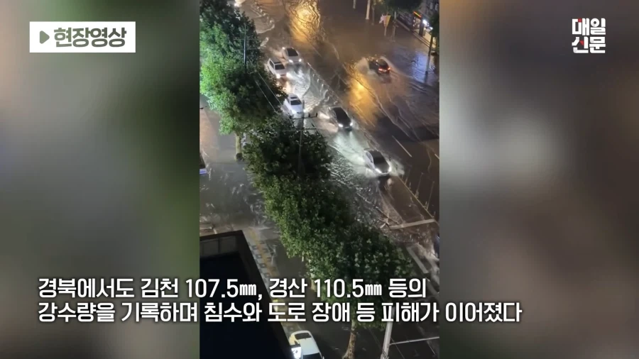 밤사이 대구, 경북에 비 엄청 왔네..._8.webp