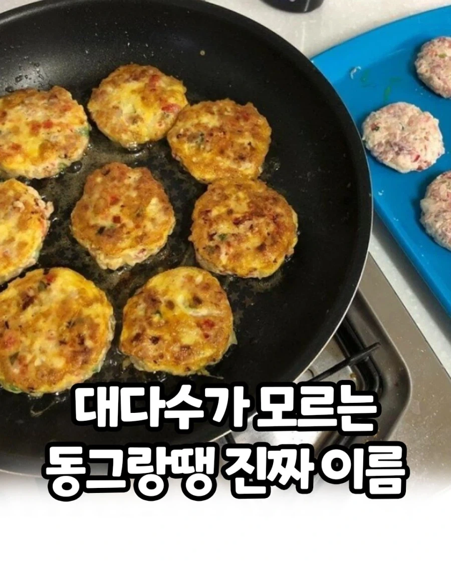 동그랑땡의 진짜 이름..._1.webp
