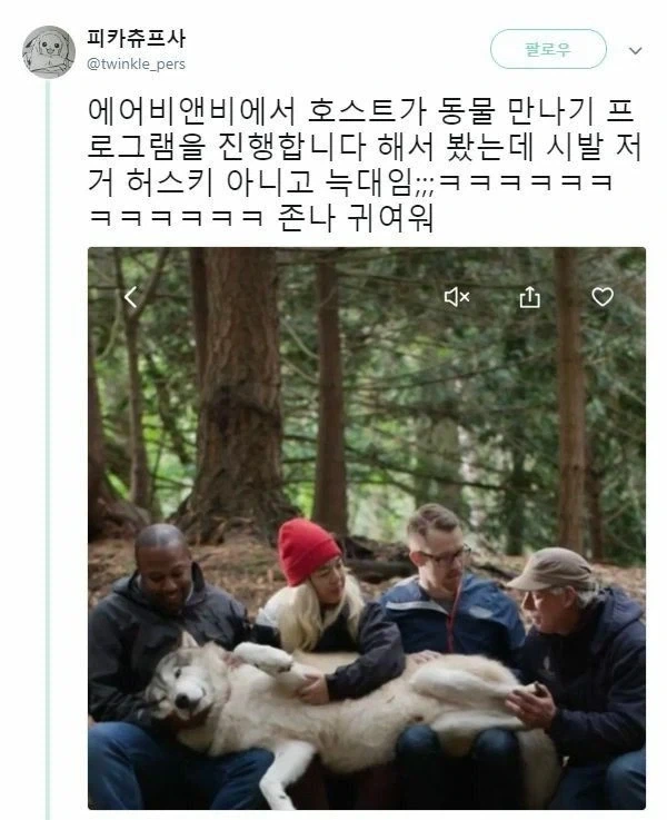 참 개같이 사는 야생동물_1.webp