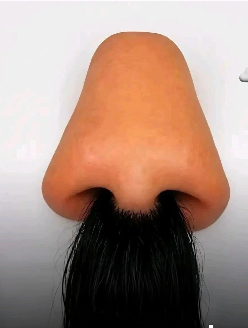 첨 보면 코털 무성하게 자란 거처럼 보이는 사진_1.webp
