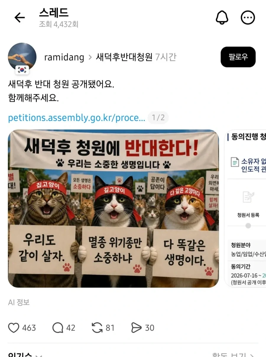캣맘의 청원_1.webp