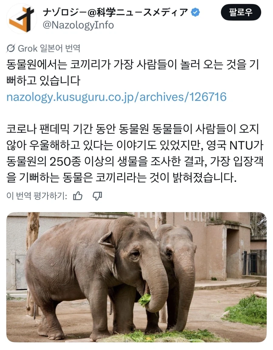 동물원에서 사람이 오면 제일 기뻐하는 동물.jpg_1.webp