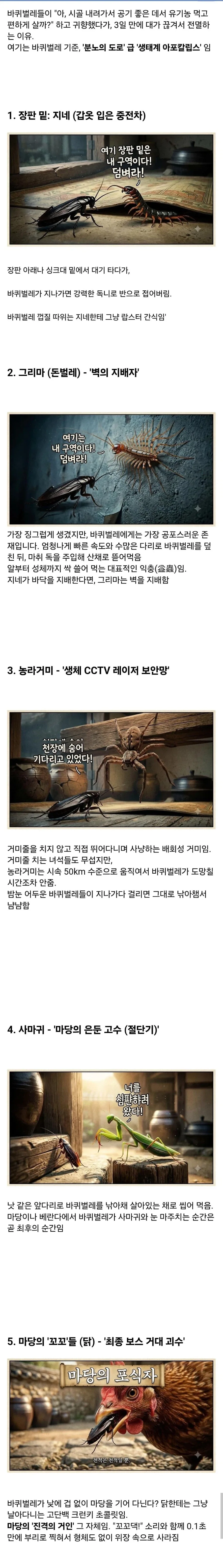시골집에서 바퀴벌레 보기 힘든 이유._1.webp