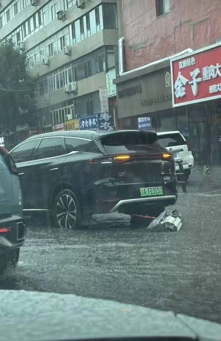 BYD 늘어나고 있는데 무슨 문제냐.._1.webp