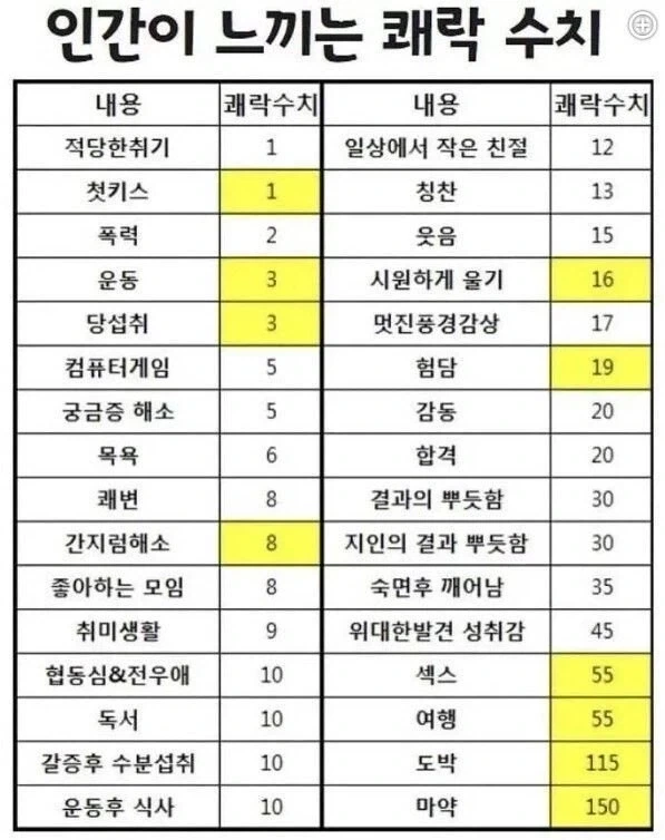 인간이 느끼는 쾌감도 순위_1.webp