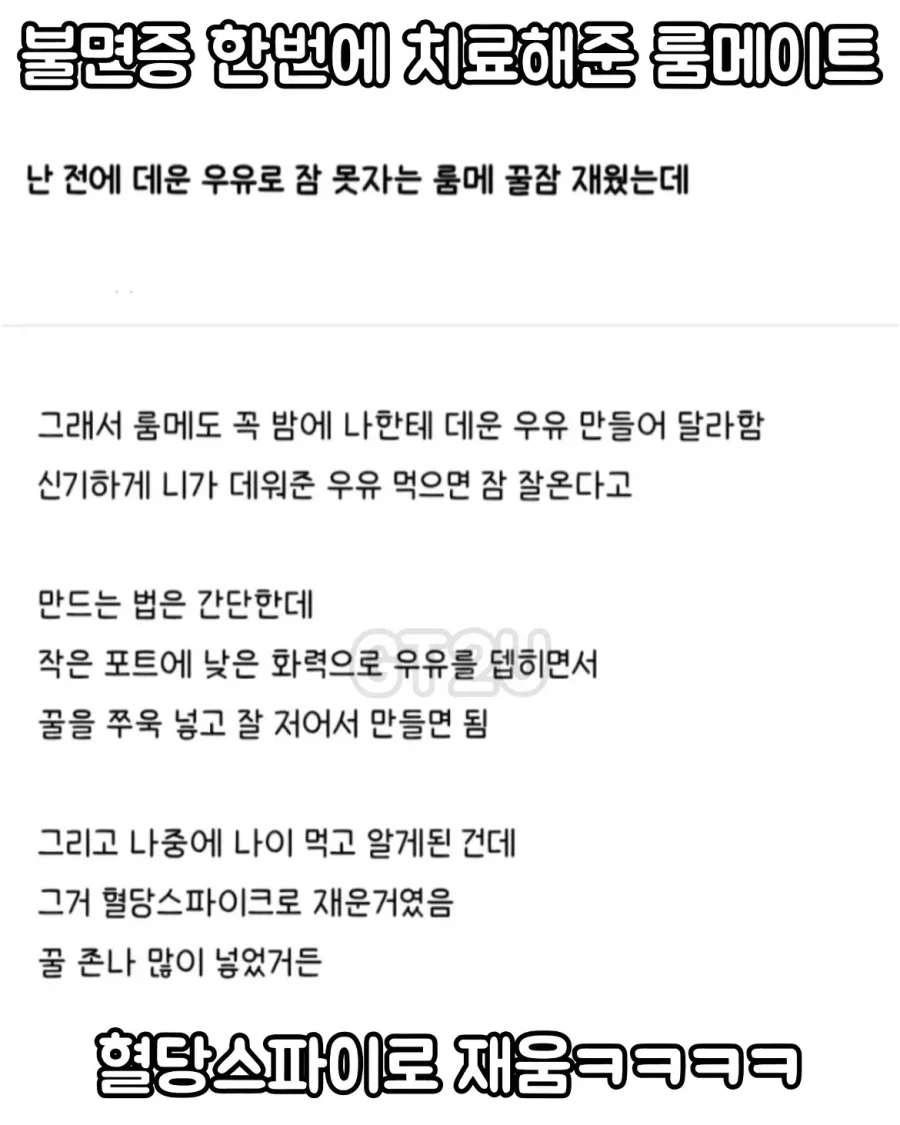 불면증 한번에 치료해준 룸메이트_1.webp