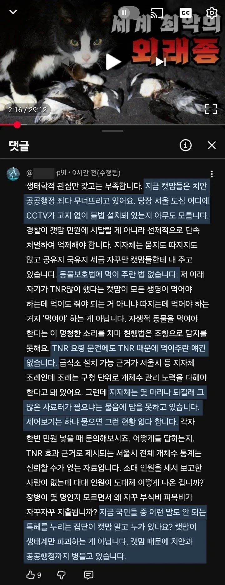 캣맘들이 치안과 공공행정까지 무너뜨리고 있어요_1.webp