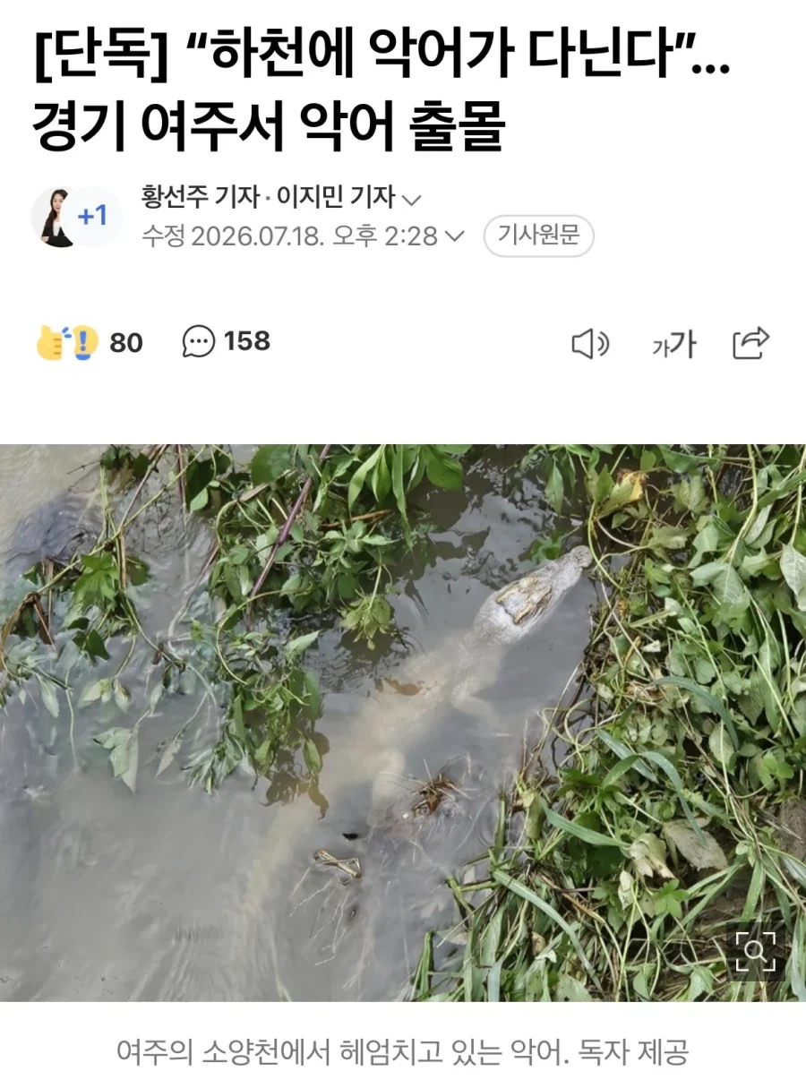 금일자 여주에서 발견된거.animal_1.webp