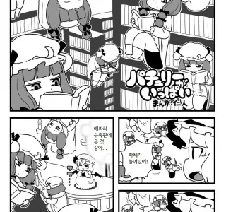 파츄리가 잔뜩.manga