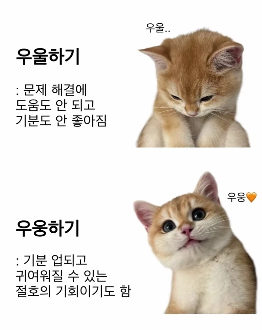 다들 우웅증에 걸리길 바란다_1.webp