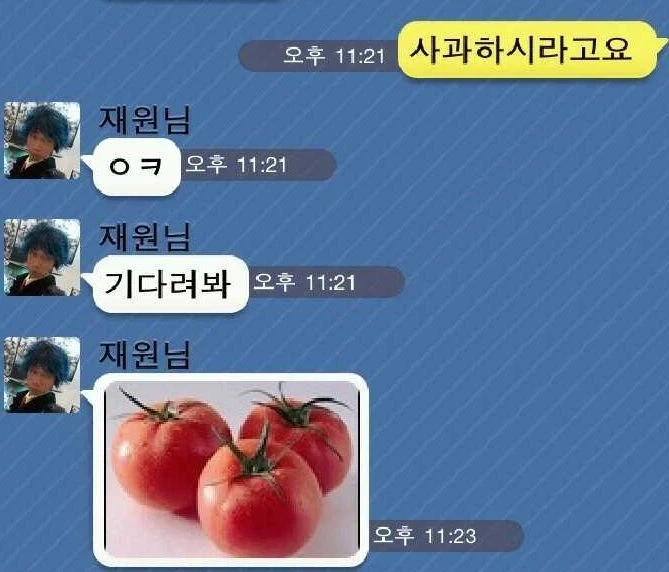 사과라는 개념이 없는 인간들 특징_1.webp