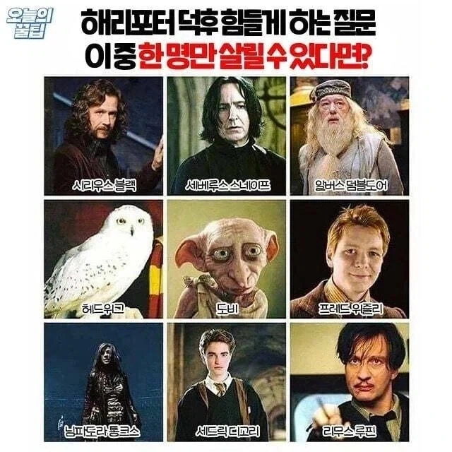 [해리포터]