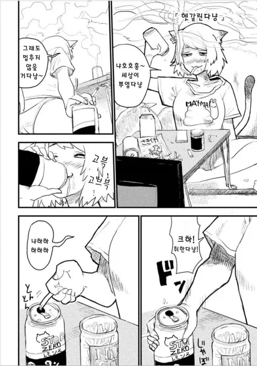 담베 고양이 애니는 순화된것_1.webp