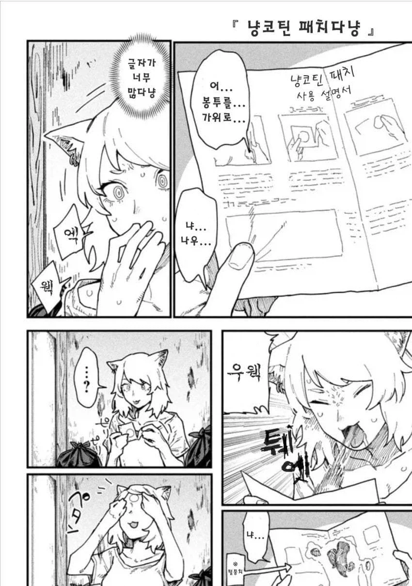 담베 고양이 애니는 순화된것_2.webp