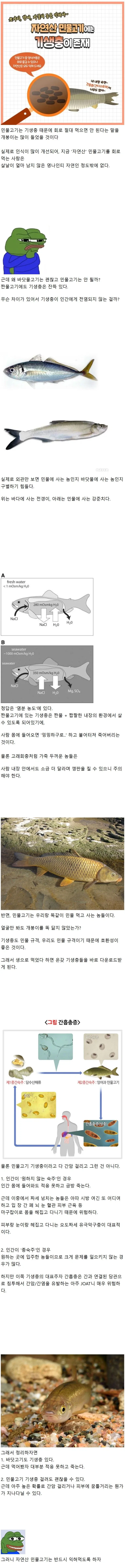 민물고기 회는 안되는데 바닷고기 회는 괜찮은 이유_1.webp