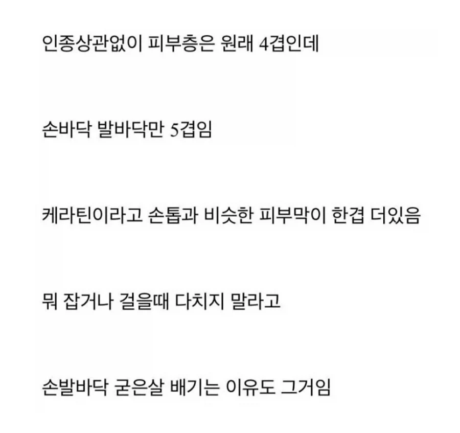 흑인 손바닥만 하얀 이유_2.webp
